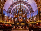 Cathedral, Notre dame basilica, Photo contest