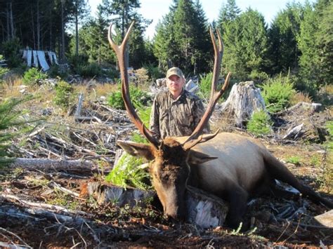 Washington Elk Success Washington Monster Muleys Community