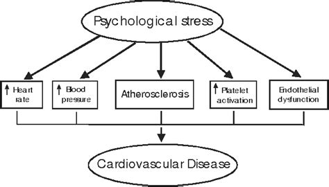Figure 1 From Role Of Psychological Stress In Cardiovascular Disease