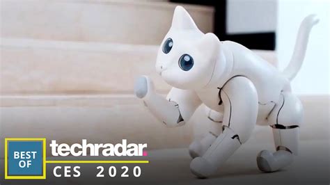 The Best Robots From Ces 2020 The Cute The Cuddly And The Confusing