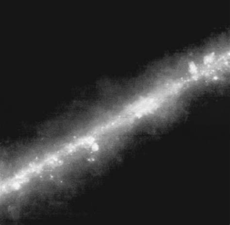 Astronomie Die Milchstraße Verliert Zwei Spiralarme Welt