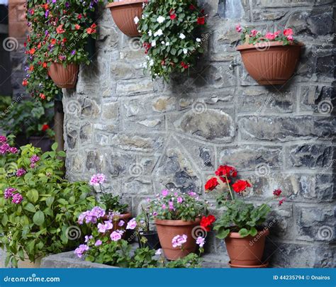 Stone Wall And Flowers Stock Photo Image Of Open Stone 44235794