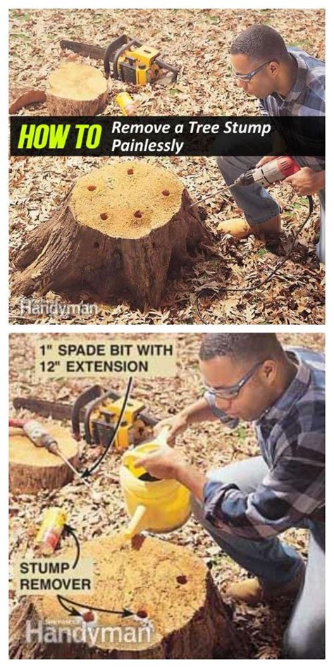 Easiest Way To Remove A Tree Stump Yourself Painlessly Video Diy
