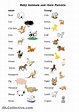 names of baby animals and their parents - MyEnglishTeacher.eu Blog