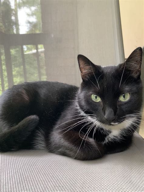 Hannah Cechini on Twitter: "Happy Saturday, Delmarva! How are you