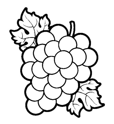 Lukisan buah buahan dalam keranjang hitam putih cikimm com. Mewarnai Gambar Buah Anggur - murid 17