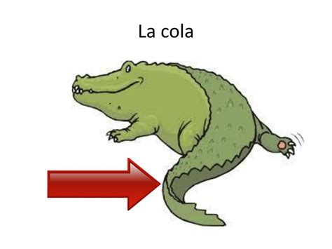 PPT - La guerra de los yácares PowerPoint Presentation, free download