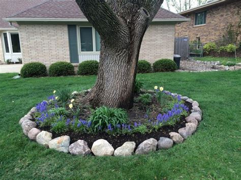 Landscaping Ideas For Around Trees Image To U