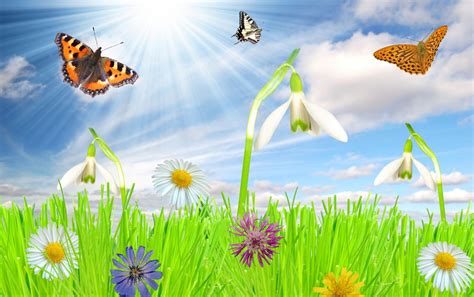 Happy Spring Wallpapers Animated Images Of Spring Season 1280x804