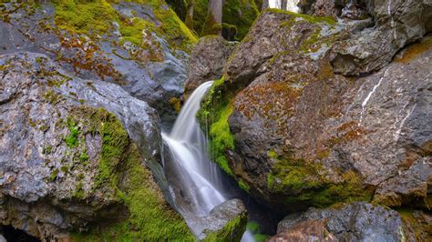 Algae Covered Stones Rocks Waterfall Stream Wet 4k Hd Nature Wallpapers