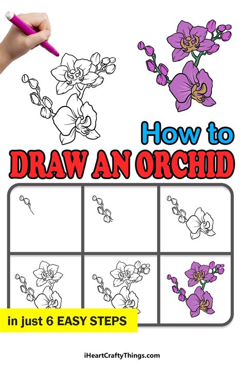 How To Draw An Orchid A Step By Step Guide Flower Drawing Tutorials