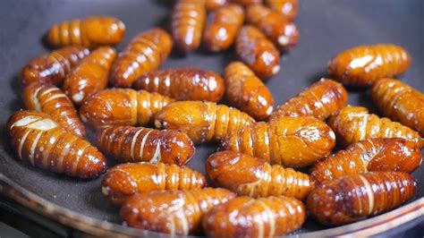 Cooking Silkworm Pupae Youtube