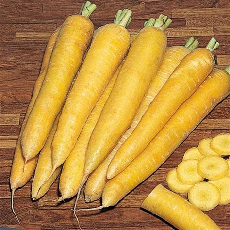 Carrot Seeds Loberesher Yellow Heirloom Vegetable Seeds Late Etsy