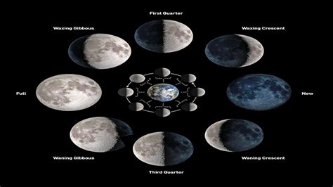What Are The Different Phases Of The Moon Moon Phases Moon Calendar