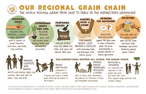 Our Regional Grain Value Chain Illustrated The Land Connection