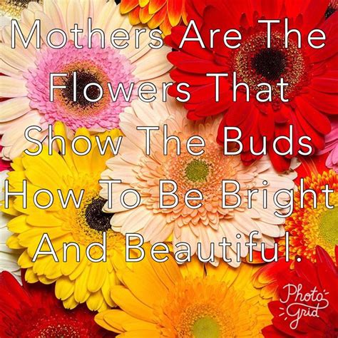 Pin By Becca Chambers On Encouragement And Quotes Neon Signs Beautiful Photo Flowers