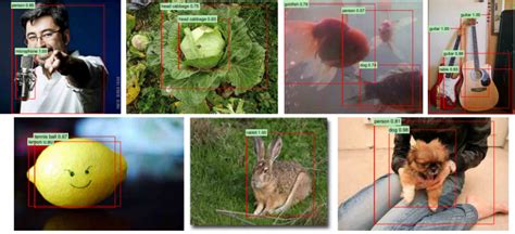 How To Guide Deep Learning For Image Recognition Applications