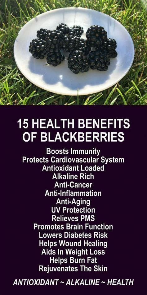 Therapeutic uses, benefits and claims of blackberry. Blackberry Diet Plan in 2020 | Coconut health benefits ...