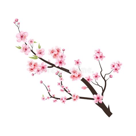 Cherry Blossom Branch With Pink Sakura Cherry Blossom Branch With Pink