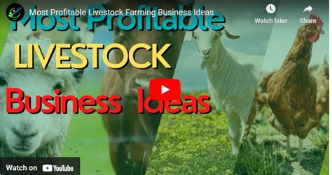 10 Profitable Animal Farming Business To Start Anywhere In The World