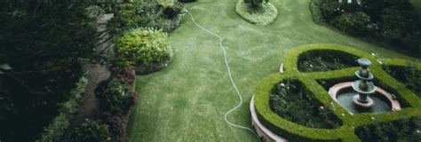 Plant Selection – The Write Gardener