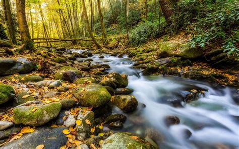 Autumn Mountain Stream Wallpapers Top Free Autumn Mountain Stream