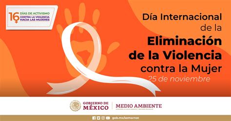 Día Internacional De La Eliminación De La Violencia Contra La Mujer