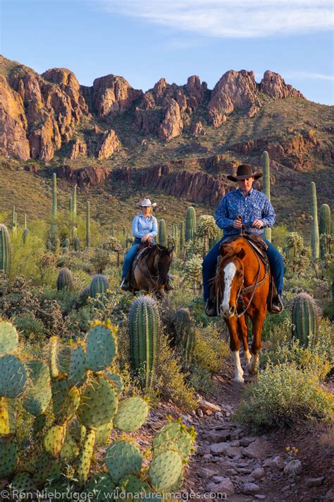 Horseback Riding Tucson Arizona Photos By Ron Niebrugge
