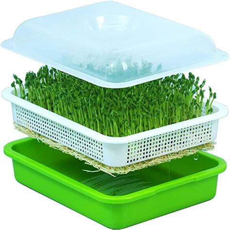Abel Seed Sprouter Tray Bpa Free Pp Soilless Bean Sprout Grower