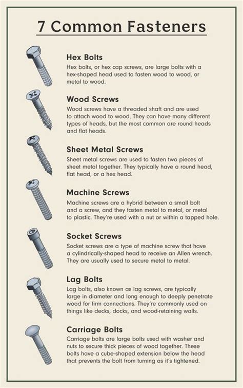 7 Types Of Screws Every Homeowner Should Know About Common Fasteners