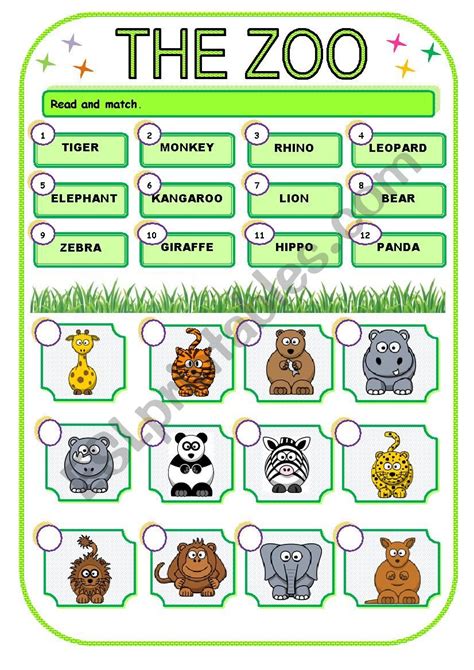 The Zoo Activity 2 Esl Worksheet By Mary Dream