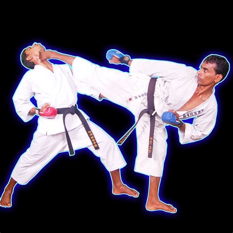 Best Of Karate Kick Technique Karate Basic Kick Wikihow Martial