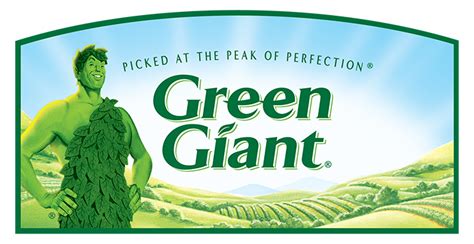 Green Giant Seasoned Steamers Coupon Review And Giveaway Katie Talks
