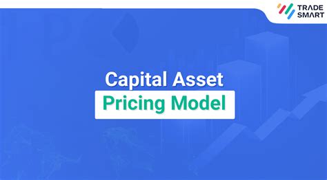 Capital Asset Pricing Model Importance Examples Tradesmart
