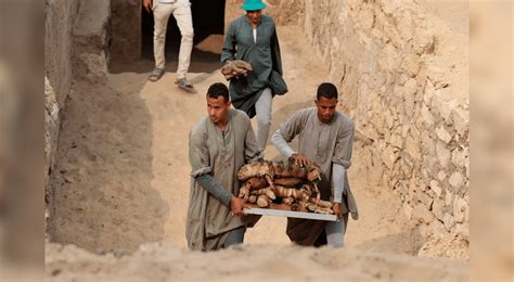 El Espeluznante Hallazgo De Decenas De Gatos Momificados En Egipto
