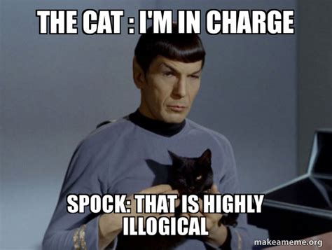 The Cat Im In Charge Spock That Is Highly Illogical Spock And Cat