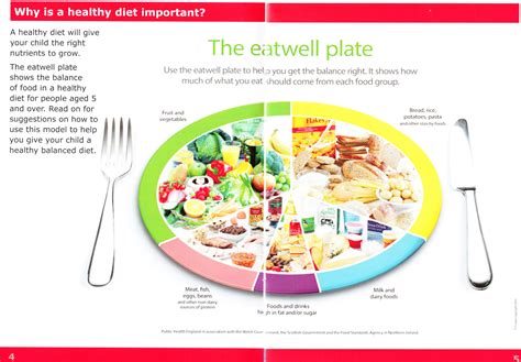The Eatwell Guide Facts
