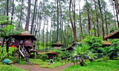 Check spelling or type a new query. Rumah Pohon Jatiasih, Wisata Alam & Outbond Kekinian di ...