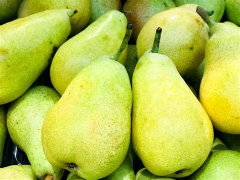 10 Popular And Common Types Of Pears Complete Guide 2022 Northern