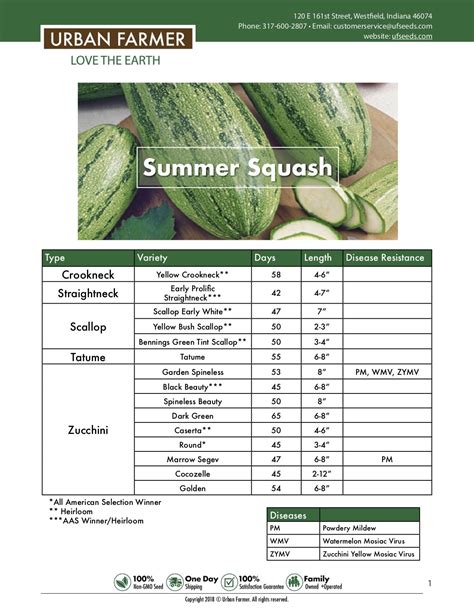 Types Of Squash Chart