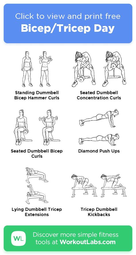 An Exercise Poster With Instructions On How To Use The Bicep Tricep Day