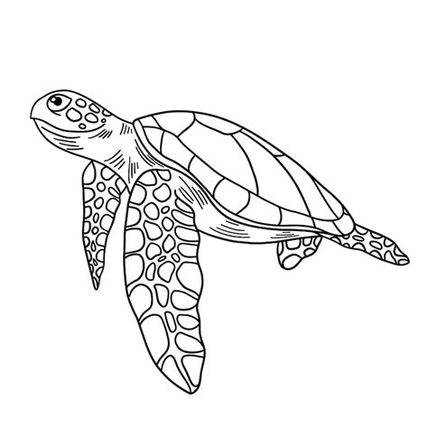 Free Vector Hand Drawn Turtle Outline Illustration