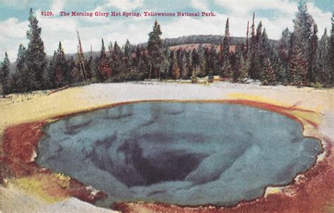 The Morning Glory Hot Spring Yellowstone National Park Amon Carter Museum Of American Art
