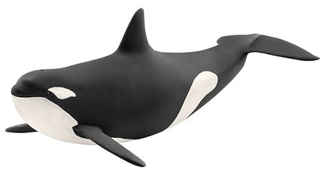 Schleich Killer Whale 14807 Fluid Orca Whale Model