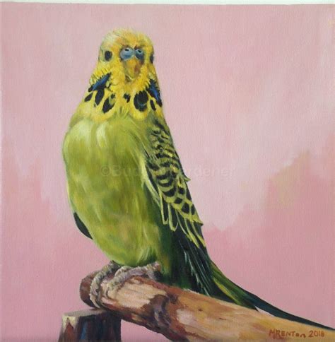 Budgerigar Oil Painting Green Budgie Pet Bird Painting On Deep Etsy