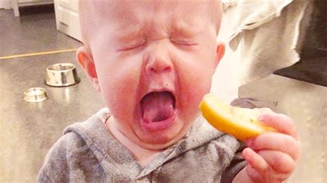 Funnest Baby Eating Lemon YouTube
