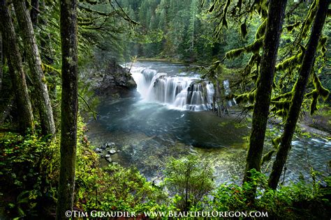 Lower Lewis River Falls Ford Pinchot National Forest Washington