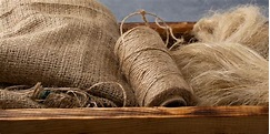 El lino, el tejido más antiguo de todos – Marco Trade Revista