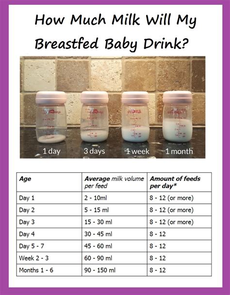 Feeding Your Baby A Quick Guide For Mums Nowbaby Co Uk