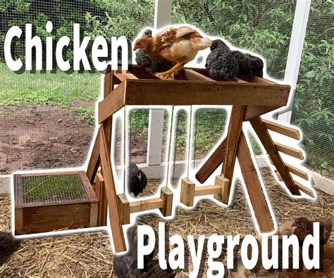 Chicken Playground 20 Steps With Pictures Instructables